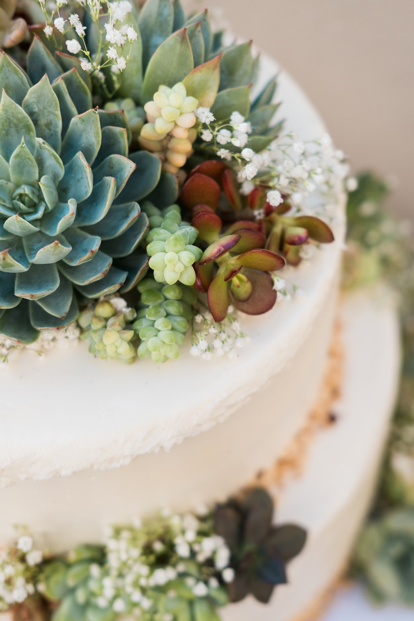 Close-up of a tiered cake decorated with succulents and small white flowers, soft green and cream tones